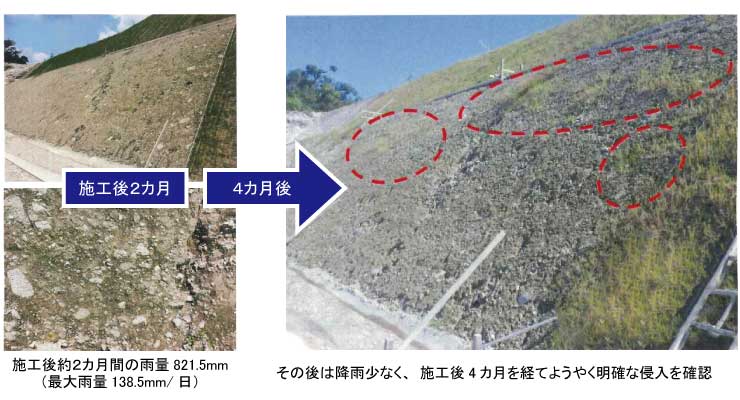 特徴②