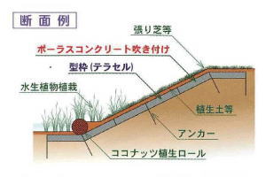 植生護岸