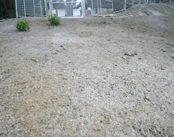 施工後2週間目での大雨