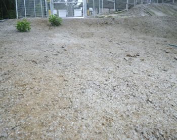 施工後2週間目での大雨