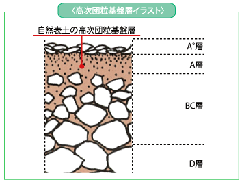 高次団粒基盤層イラスト