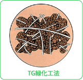 TG緑化工法