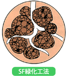 SF緑化工法